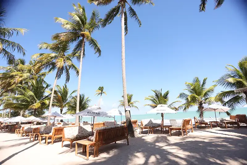 Corais Beach Club - mesas e coqueiros
