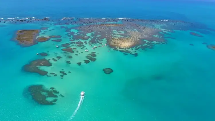 Piscinas naturais de Maragogi, em Alagoas